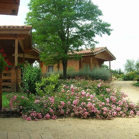 Auberge Du Flambadou Villematier Exteriér fotografie